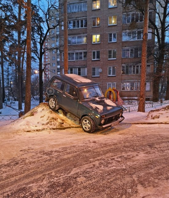 Фотоподборка среды 