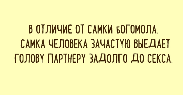 Юмористические открытки с чисто женским взглядом на жизнь картинки,юмор