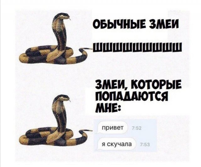 Шутки и мемы про отношения и современных девушек Шутки и мемы про отношения и современных девушек позитив,смешные картинки,юмор