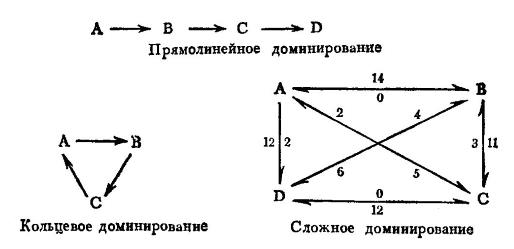  Системы ранжирования в разных популяционных группировках. Буквами обозначены отдельные особи, цифрами — число случаев доминирования. (По Наумову и Карташеву, 1979.) Это стандартный взгляд, критикуемый в данной статье