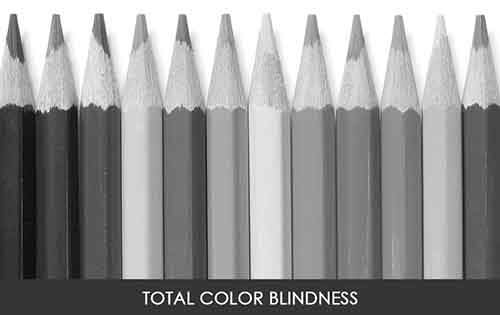 different-types-color-blindness-photos-2