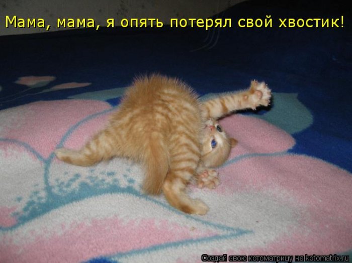 Мысли вслух :)