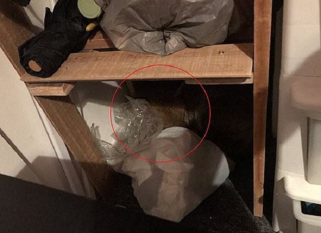 Гардеробная