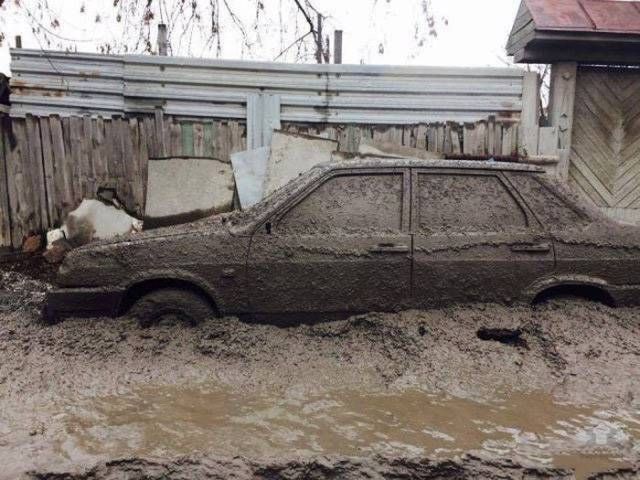 Подборка прикольных картинок (24 фото)