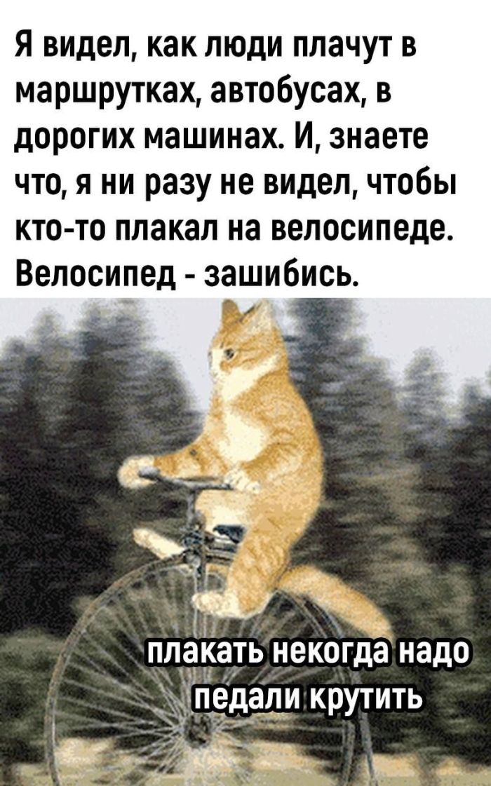 Юмор для тех, кто уже повзрослел и понял, что «золотое время» — это после зарплаты и до первых платежей Юмор для тех, кто уже повзрослел и понял, что «золотое время» — это после зарплаты и до первых платежей