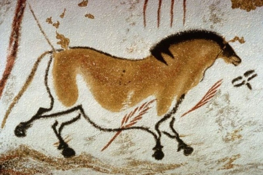 пещера ЛАСКО (12).JPG