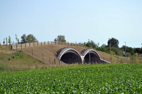 Замечательные экодуки, ежегодно спасающие жизни диких животных (36 фото)