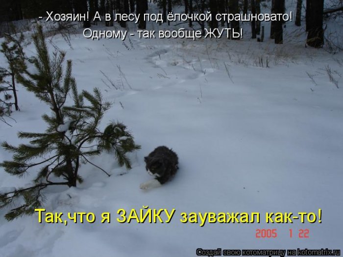 Мысли вслух :)