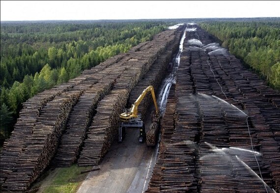 Китай уверенно поглощает Российские земли без войны. новости,события