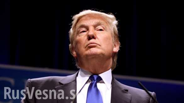 Трамп хочет, чтобы Украина вернула себе обратно «свои территории», — Волкер | Русская весна