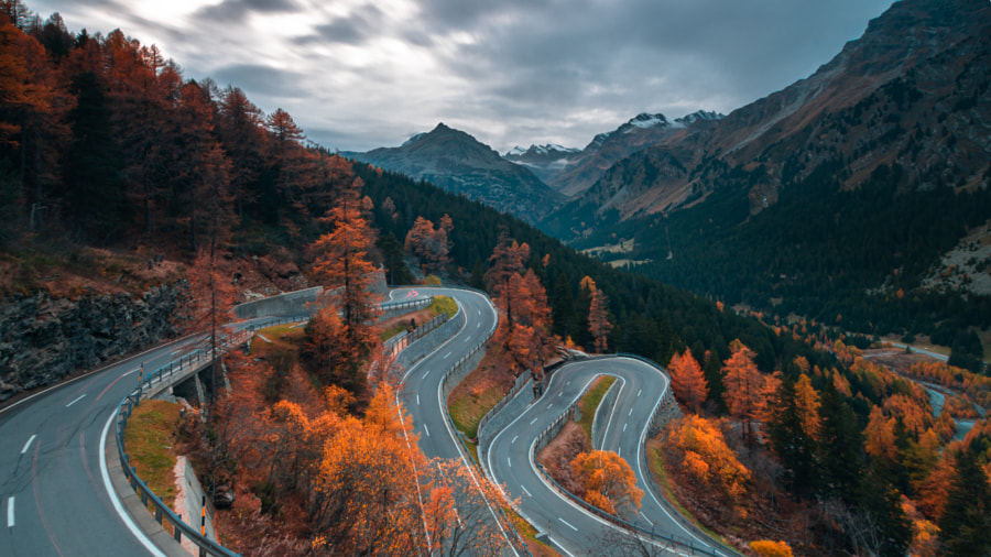 Maloja Pass by JZ Landscape on 500px.com
