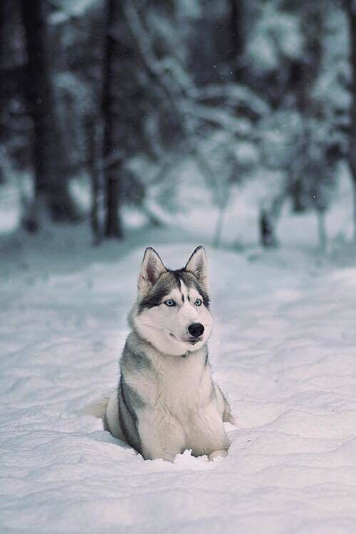 Позитивные фотографии и милые картинки для улыбки Позитивные фотографии и милые картинки для улыбки