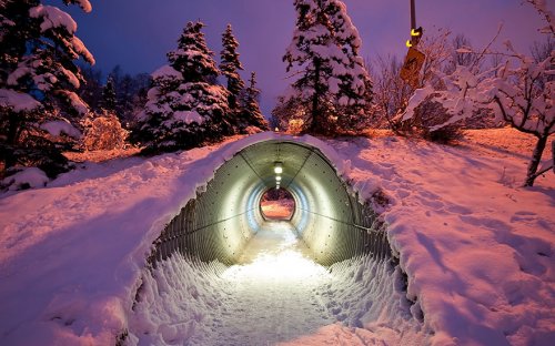 Замечательные экодуки, ежегодно спасающие жизни диких животных (36 фото)