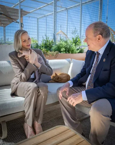 Княгиня Шарлен, князь Альбер II и члены монаршей семьи посетили приют для животных в Монако Шарлен, Альбер, князь, Монако, княгиня, Масси, животных, князя, приюта, семьи, Гримальди, Камилла, Стефания, принцесса, принцессы, ШарленКнягиня, МеланиАнтуанетта, IIКнягиня, Уиттсток, IIГарет