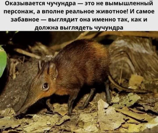 Юмор для тех, кто уже повзрослел и понял, что «золотое время» — это после зарплаты и до первых платежей Юмор для тех, кто уже повзрослел и понял, что «золотое время» — это после зарплаты и до первых платежей