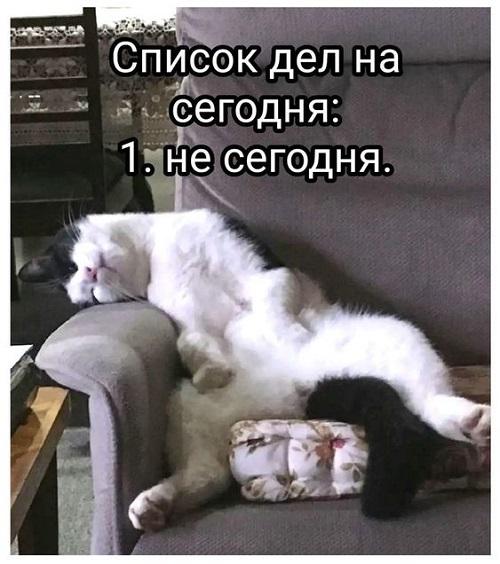 Свежий юмор для хорошего настроения 