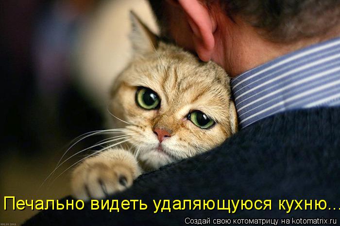 Мысли вслух :)