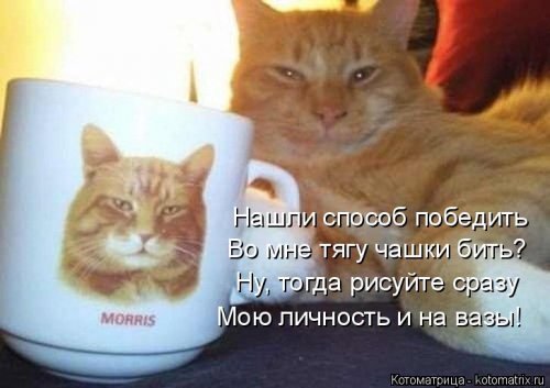 Новая котоматрица 