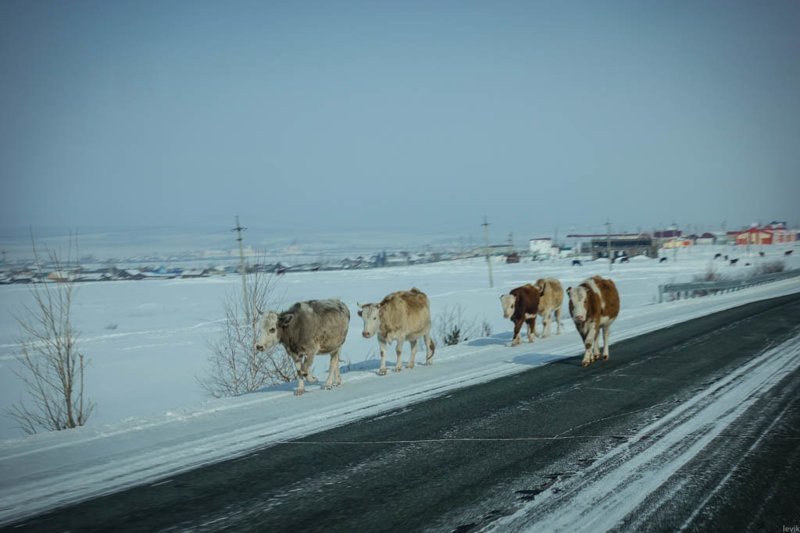 Дорога на Байкал глазами иностранца путешествия, факты, фото