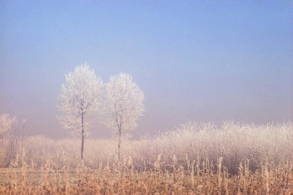 Джей Мейзел – искатель ярких уличных сцен фотография