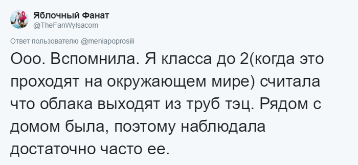 Взрослые поделились заблуждениями, в которые верили в детстве. Но те оказались теми ещё враками Взрослые поделились заблуждениями, в которые верили в детстве. Но те оказались теми ещё враками