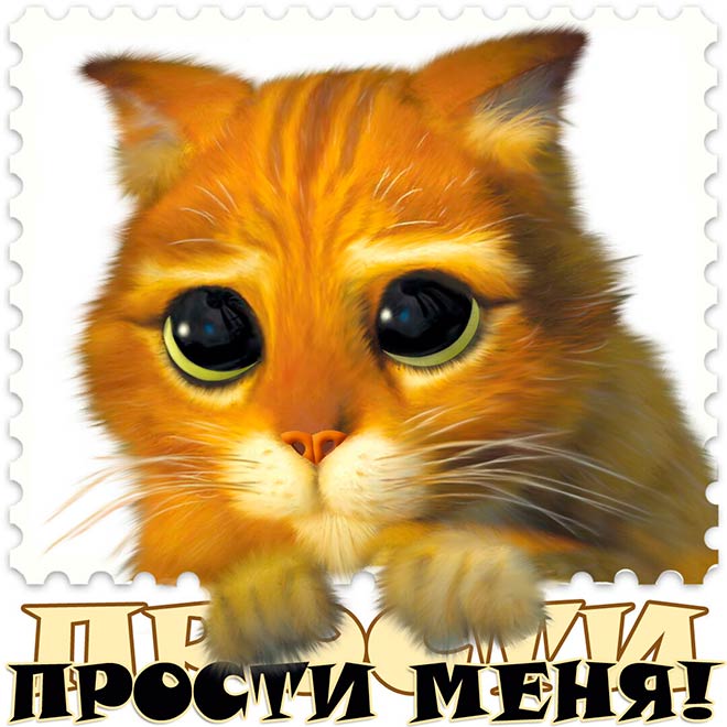 Извинения перед девушкой в картинках