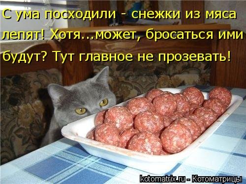 Новая котоматрица 