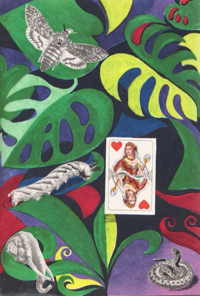 Фантастические иллюстрации Адольфа Хоффмайстера 