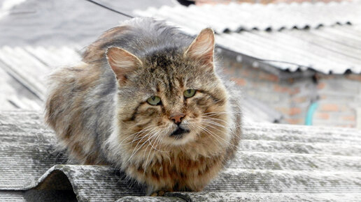 Взгляд в себя