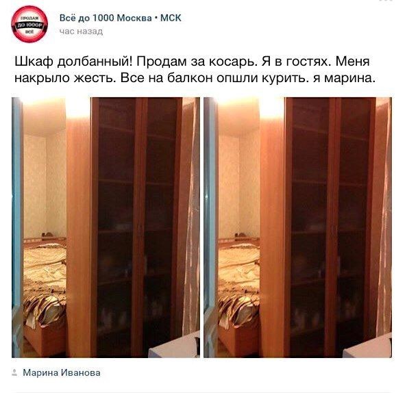 Весёлые картинки картинки, прикол, юмор