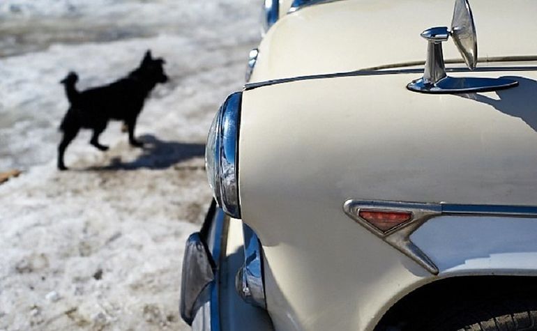 «Москвич-403»: рожденный ползать летать может! «Москвич-403»: рожденный ползать летать может! авто и мото,автоновости,Москвич-403Э