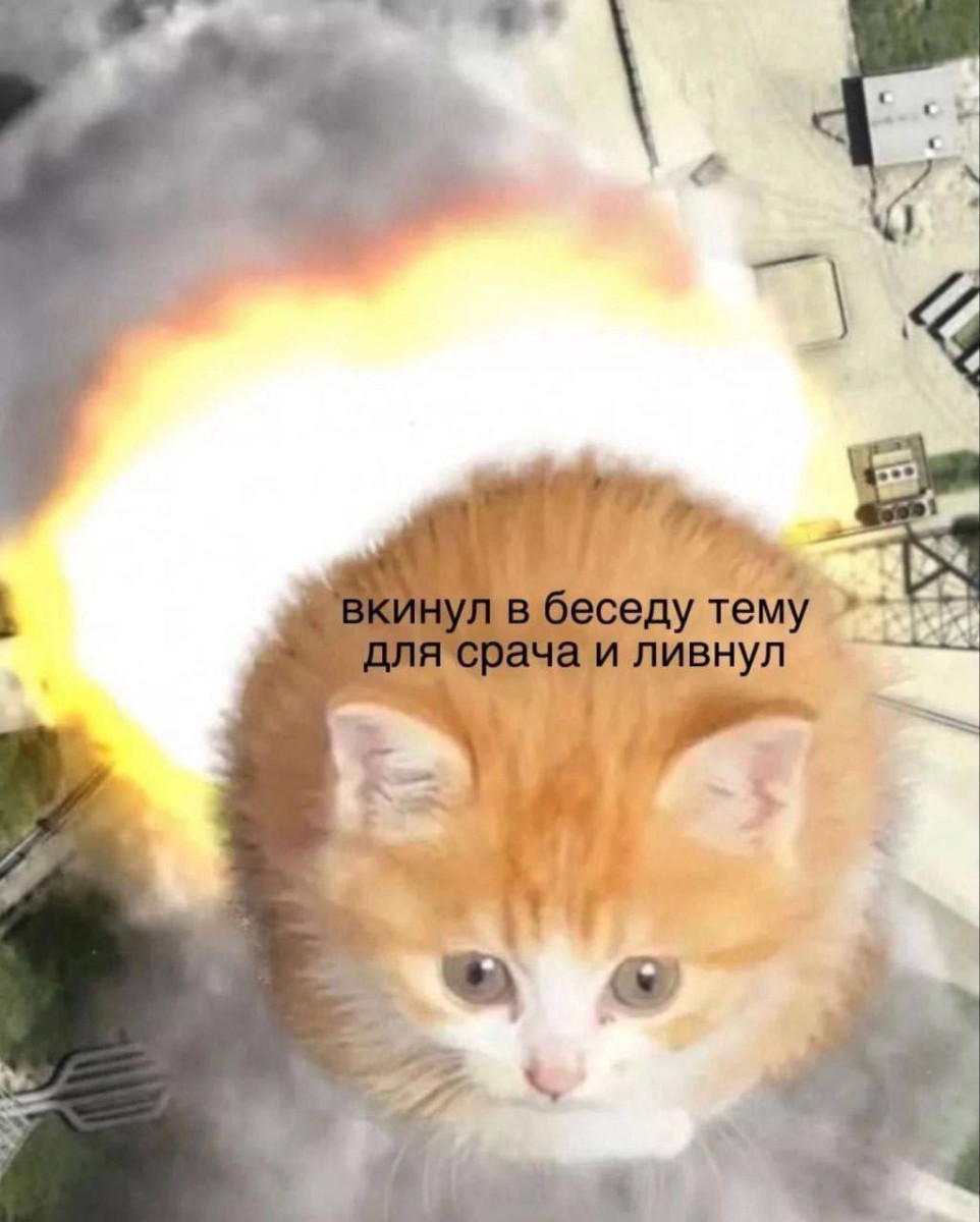 Интернет мемы в воскресение 