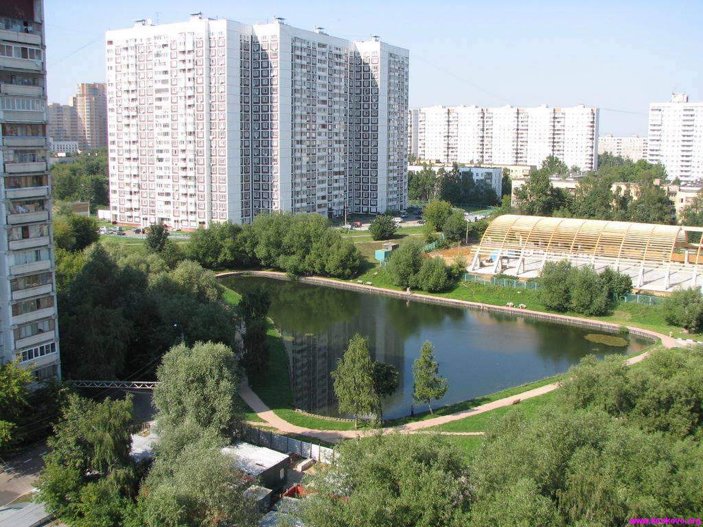 Ясенево беляево. Беляево Коньково е пруды. Коньково район Москвы. Район Беляево в Москве. Пруды в Беляево Москва.