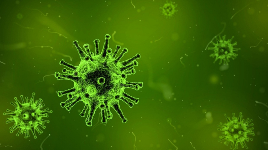 Попова:  эпидемия коронавируса в России идет на спад
