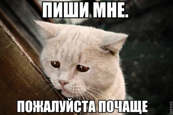 Подборка смешных картинок и забавных фото приколов с надписями из сети Подборка смешных картинок и забавных фото приколов с надписями из сети