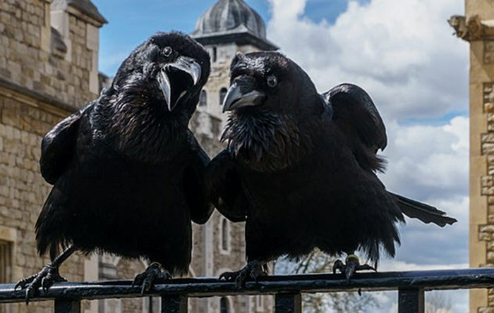 Любопытные факты о популярных достопримечательностях Любопытные факты о популярных достопримечательностях