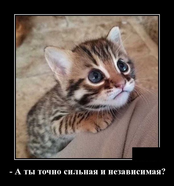 Мерседес депутата провалился в дорожную яму... Мерседес депутата провалился в дорожную яму... анекдоты,веселье,демотиваторы,приколы,смех,юмор