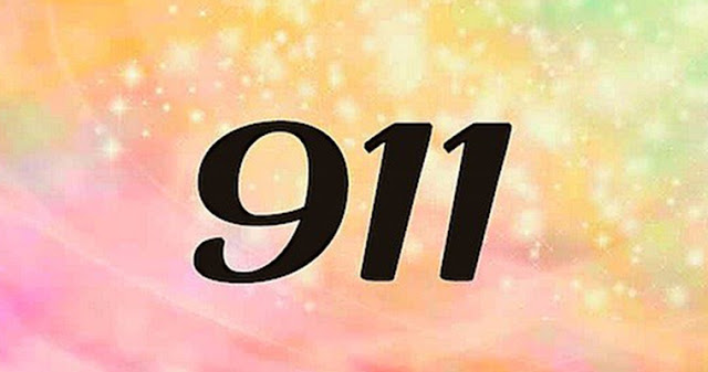 :   ,      911?