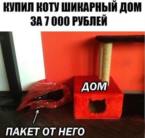 Отличная порция анекдотов (11 шт)