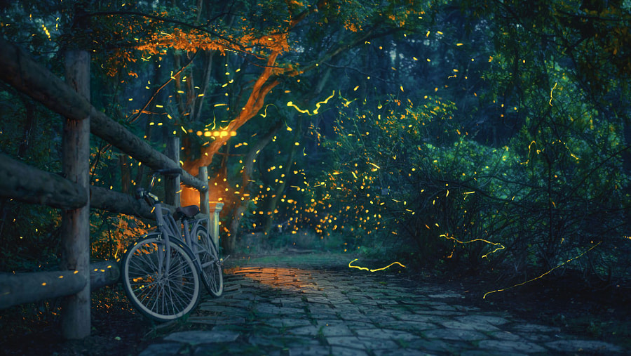 夏夜流萤 by 羽默蓝  on 500px.com