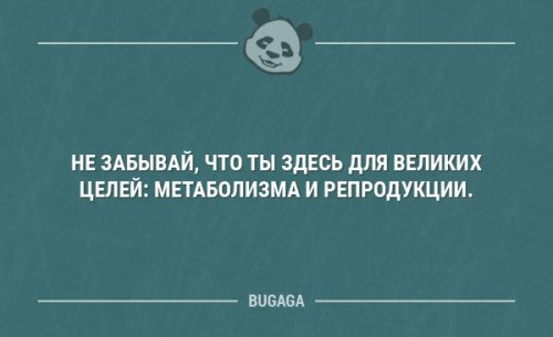 Короткие анекдоты посмеяться  анекдоты