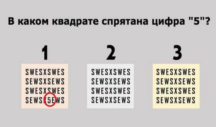 3 простых задания для проверки первых признаков деменции. Проверьте себя и близких слово, время, является, деменции, человек, теста, старости, цветом, должны, значит, наступает, обведено, можете, слова, результатом, называем, стоит, может, чтобы, более