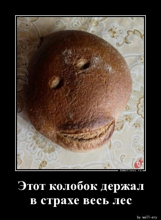 Большая коллекция демотиваторов: «Так я понял, что слушать родителей необходимо» 