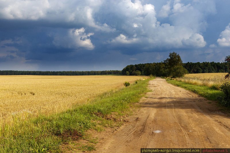 Белорусские просторы белорусия, путешествия, репортаж, фото