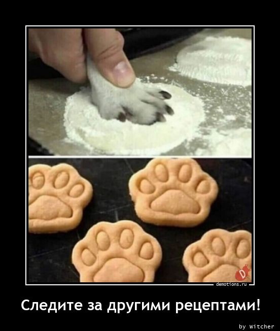 Демотиваторов пост: «Белые начинают и проигрывают» Демотиваторов пост: «Белые начинают и проигрывают»