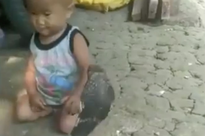 Двухлетний мальчик стал лучшим другом огромной змеи Двухлетний мальчик стал лучшим другом огромной змеи культура