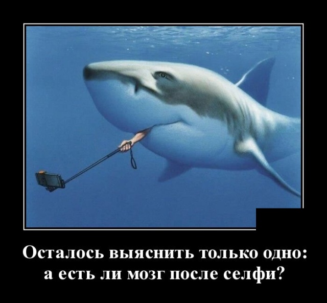 Зачетные и прикольные пятничные демотиваторы со смыслом демотиваторы пятницы