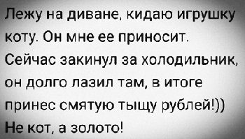 Взрослая жизнь - круто! Можно гулять, пить и веселиться сколько угодно ... по дороге на свои три работы Взрослая жизнь - круто! Можно гулять, пить и веселиться сколько угодно ... по дороге на свои три работы когда, лежит, Федот, говорит, будет, никто, земле, сервисы, время, кассирша, дальше, Мужик, спокойно, голос, видит, Смотри, олимпиада, поднимать, просто, бомба
