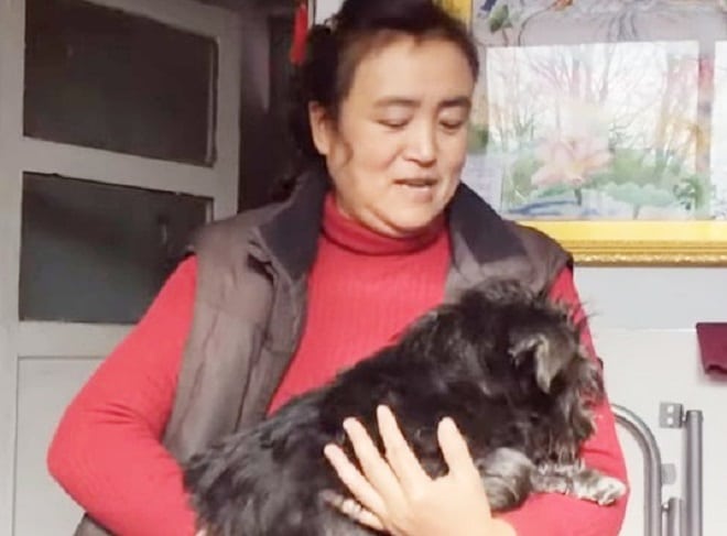 Женщина и пес 