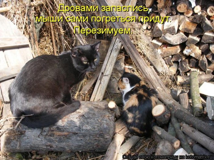 Мысли вслух :)